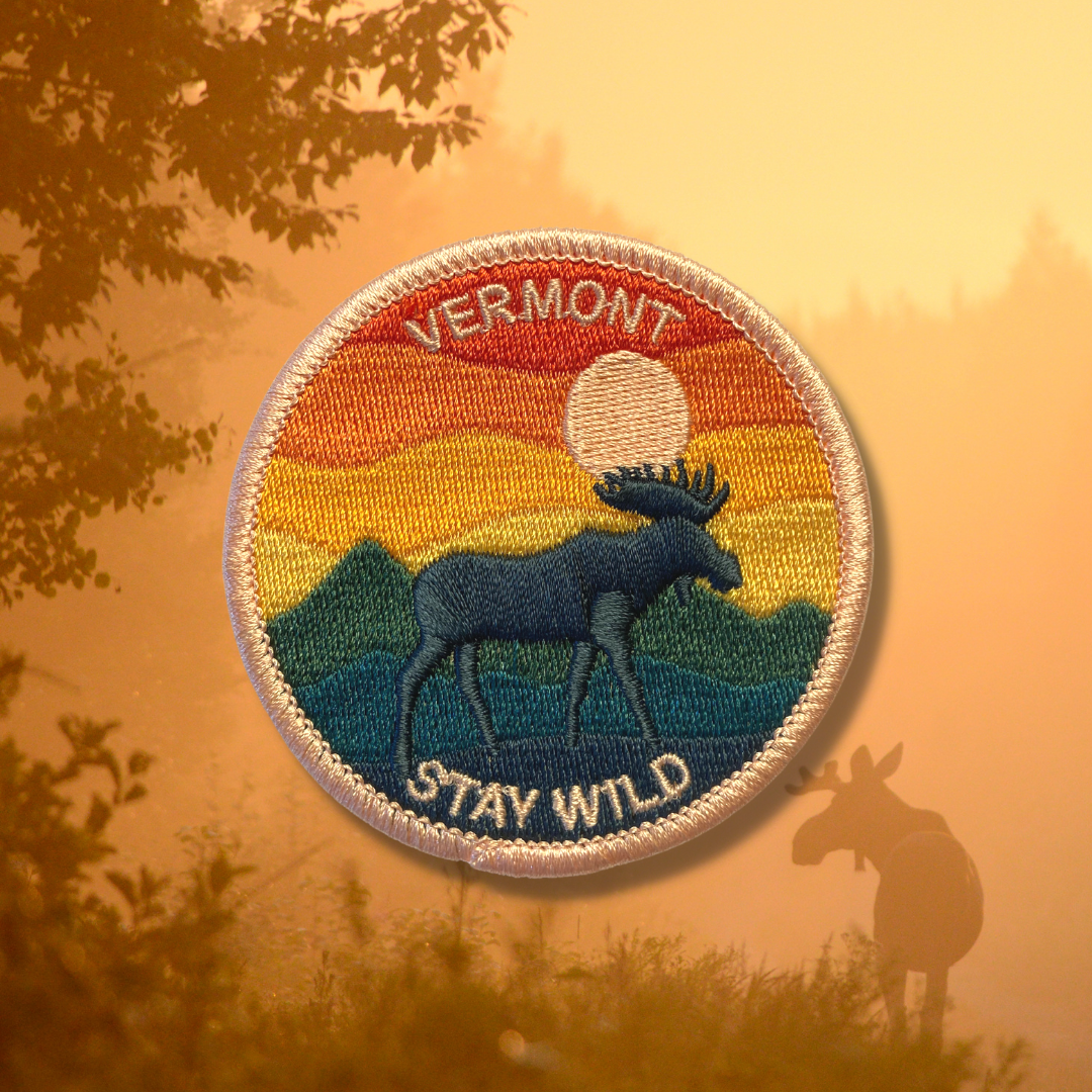 Stay Wild Vermont