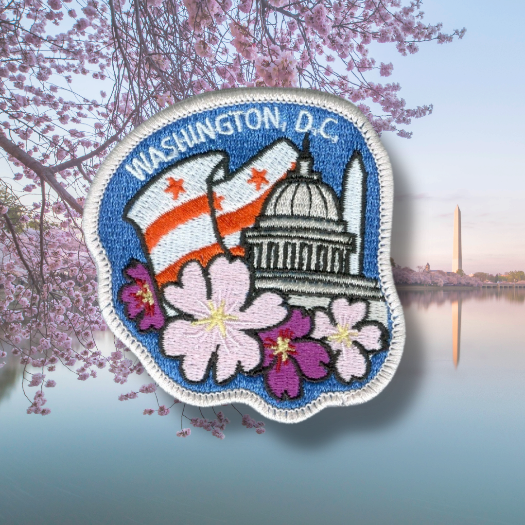 D.C. Cherry Blossoms