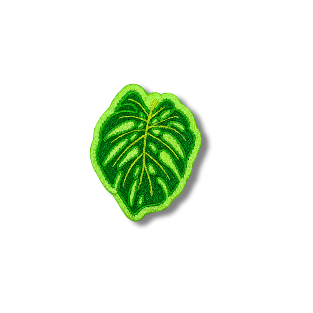 Monstera Leaf