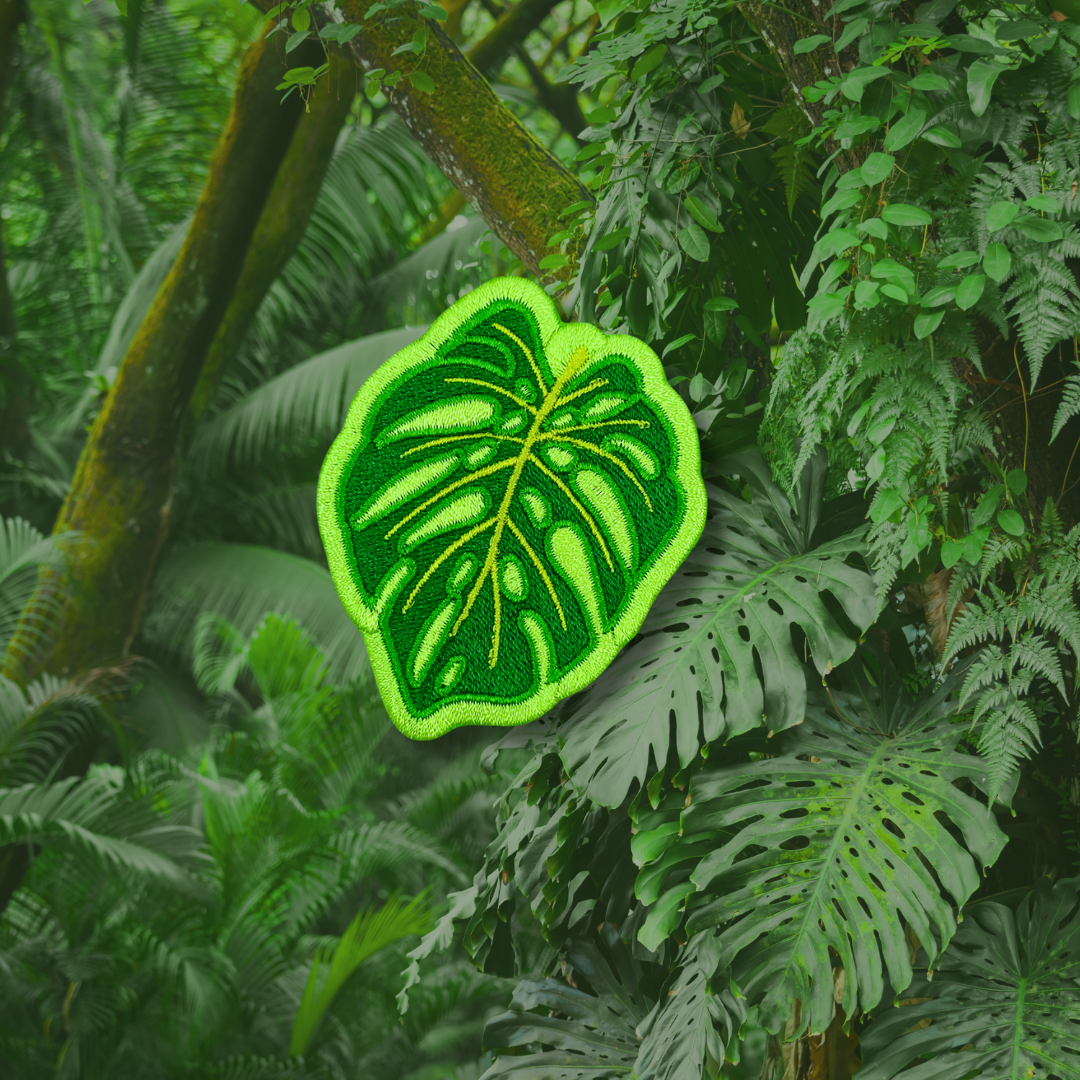 Monstera Leaf