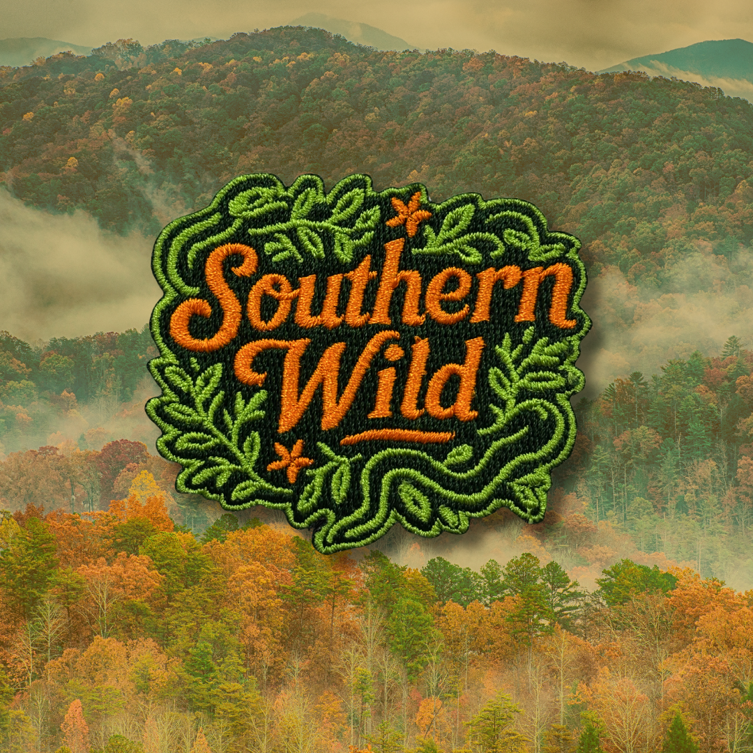 Southern Wild